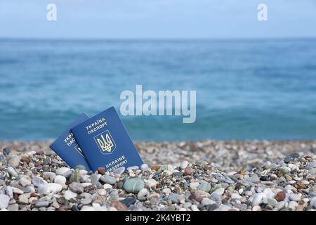 Le nouveau passeport biométrique ukrainien vous permet de voyager dans les pays européens de l'Union européenne sans visa. Document d'identité électronique gratuit Visa. Ukrain Banque D'Images