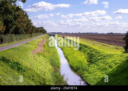 Vue sur un canal dans les Fens lors d'une belle journée d'automne, Lincolnshire, East Midlands, Angleterre Banque D'Images