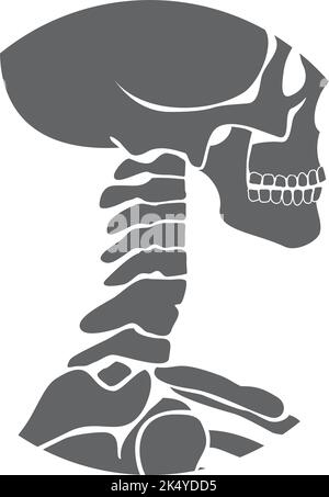 Structure osseuse du cou humain. Icône noire Anatomie Illustration de Vecteur