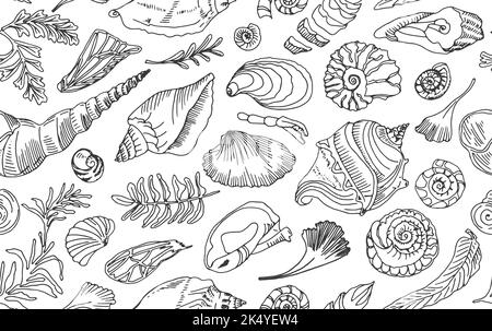 Contour de la ligne noire isolée coquillages et plantes sans couture dessin main coquillages ou conch mollusque pétoncle marin marin animal fossile Illustration de Vecteur