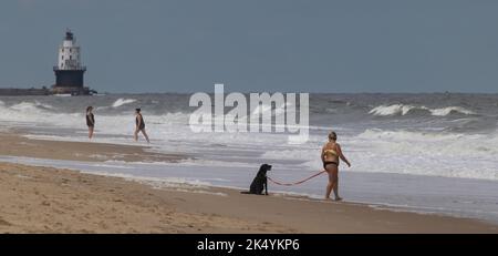 3 personnes et un chien à la plage avec le port de refuge Light au loin, Cape Henlopen State Park, Delaware Banque D'Images
