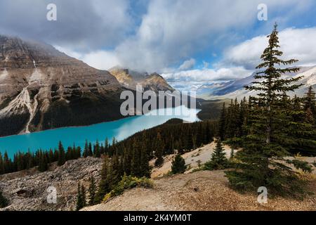 Banff et Jasper National Parak en Alberta, Canada Banque D'Images