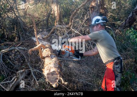 St. James City, États-Unis. 04th octobre 2022. Les soldats de l'armée américaine utilisent des scies à chaîne pour nettoyer les arbres en aval et les routes qui bloquent les débris à la suite de l'ouragan de catégorie 4 Ian, à 4 octobre 2022, à St. James City, sur l'île Pine, en Floride. Credit: SRA Jacob Hancock/US Air Force/Alamy Live News Banque D'Images