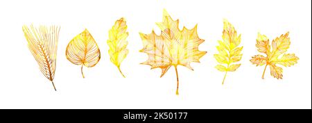 Feuilles d'automne décoratives jaunes. Illustration vectorielle Illustration de Vecteur