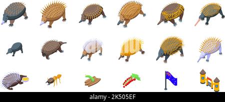 Les icônes Echidna définissent le vecteur isométrique. Australie animal. Griffes de la faune Illustration de Vecteur