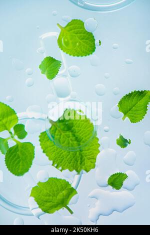 Huile essentielle de menthe, gouttes d'eau, beauté, pharmacie et thème de la médecine Banque D'Images