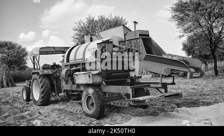 15 août 2022, Sikar, Inde. Cultivateur industriel travaillant dans une terre agricole avec John tracteur et fourrager Thescher dans un champ de mil ou de Pennisetum glaucum. Banque D'Images