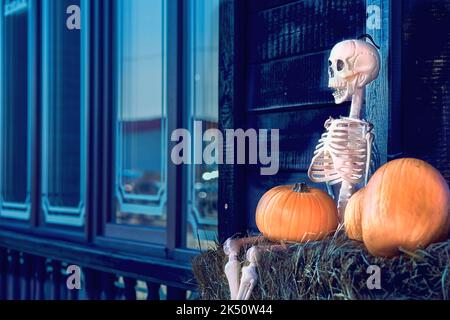 Squelette blanc d'halloween sur un foin, des citrouilles orange et des fenêtres bleues Banque D'Images