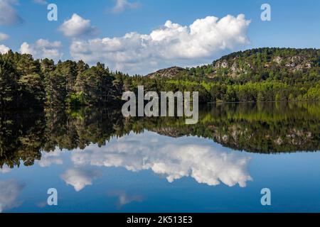 Loch an Eilein ; domaine de Rothiemurcus ; Écosse ; Banque D'Images