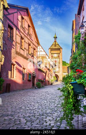 Riquewihr, Alsace. Les plus beaux villages de France. Célèbre circuit viticole et « route romantique » touristique. Banque D'Images