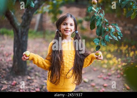 Fille paysanne dans le verger de pomme cueillez les fruits mûrs biologiques de l'arbre de pomme Banque D'Images