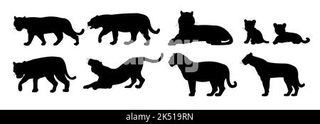 Ensemble de lions mâles et femelles avec des petits. Prédateurs animaux sauvages. Silhouette. Isolé sur fond blanc. Vecteur Illustration de Vecteur