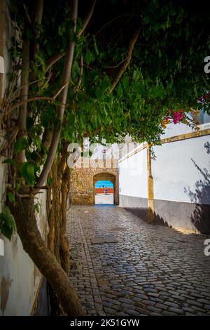 Faro, Portugal, septembre 2022 : vue sur la Porta Nova dans la vieille ville de Faro, Portugal Banque D'Images