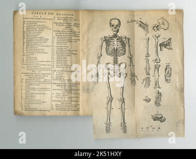 Livre d'anatomie latine vieilli. Un ancien livre d'anatomie avec ses pages affichées. Banque D'Images