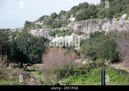 Grande gorge de Rosolini, Rosolini, province de Syracuse (Syracuse), Sicile, Italie Banque D'Images