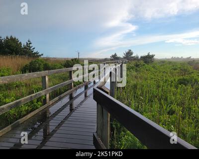 Un chemin humide en bois à travers un champ sous un ciel nuageux Banque D'Images