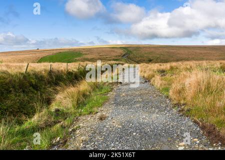 Le sentier de la Tarka Trail qui longe une banque de terre clôturée en barbelés sur le côté sud des chaînes dans le parc national d'Exmoor, Somerset, Angleterre. Banque D'Images