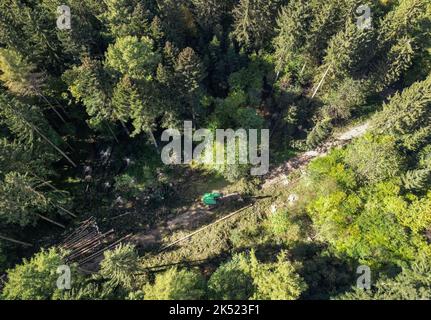 Herbertingen, Allemagne. 05th octobre 2022. Une récolteuse prépare des arbres abattus lors d'un événement de presse Forst BW sur le thème de la récolte du bois dans une zone forestière. La récolte du bois commence chaque année dans le Bade-Wurtemberg à l'automne. (Vue aérienne avec un drone) Credit: Marijan Murat/dpa/Alay Live News Banque D'Images