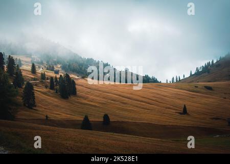 quelques vues fantastiques à pied du tre cime di lavaredo Banque D'Images