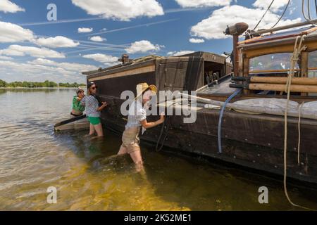 France, Maine et Loire, Blaison-Saint-Sulpice, vallée de la Loire classée au patrimoine mondial par l'UNESCO, flottille de bateaux conduite par une barge traditionnelle construite b Banque D'Images