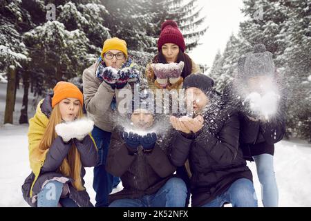 Groupe de jeunes amis qui soufflent de la neige tout en s'amusant dans une forêt enneigée ou dans un parc. Banque D'Images