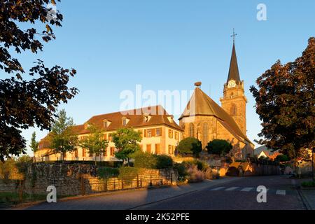 France, Haut Rhin, route des vins d'Alsace, Bergheim, cité ancienne médiévale fortifiée, marquée les plus Beaux villages de France (les plus beaux villages Banque D'Images