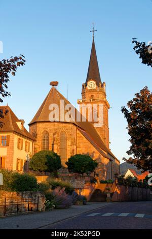 France, Haut Rhin, route des vins d'Alsace, Bergheim, cité ancienne médiévale fortifiée, marquée les plus Beaux villages de France (les plus beaux villages Banque D'Images