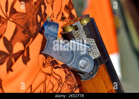 France, Doubs, chasse, battement de sanglier, arme à feu, cartouche Banque D'Images