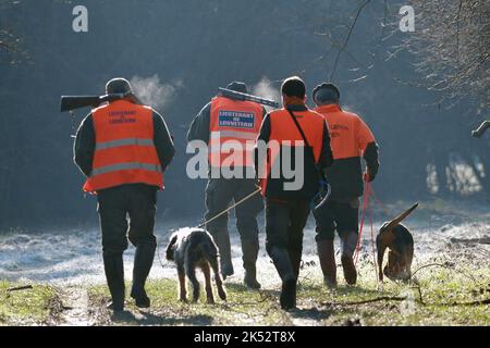 France, Doubs, chasse, battement de sanglier, lieutenants de chasse au loup Banque D'Images