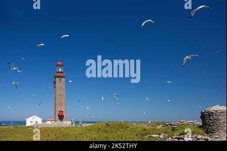 France, Vendée, île de Noirmoutier, groupe de goélands argentés en vol tournant autour du phare de l'île de Pilier, réserve ornithologique appartenant Banque D'Images