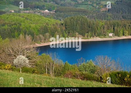 France, Ardèche, Parc naturel régional des Monts d'Ardèche, massif du Mezenc, Lac d'Issarles, lac volcanique de 138 mètres de profondeur Banque D'Images