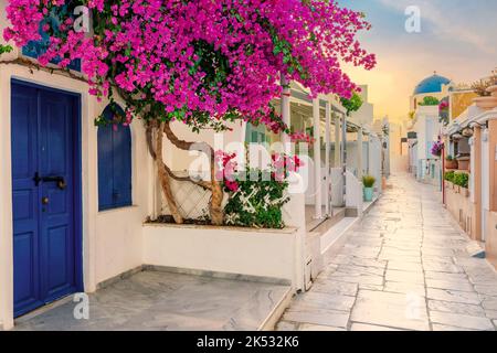 Vue sur la rue Oia dans le mornong, Santorini, Grèce Banque D'Images