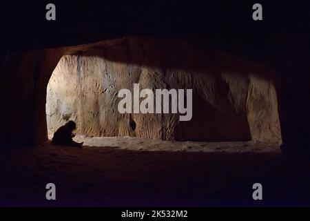 France, Pyrénées Orientales, Tautavel, reproduction de la grotte de Tautavel, la Cune de l'Arago, un site archéologique majeur en Europe datant de 500, Banque D'Images