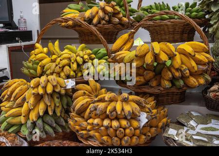 Portugal, île de Madère, Funchal, marché couvert Mercado dos Lavradores, îlot de fruits et légumes Banque D'Images