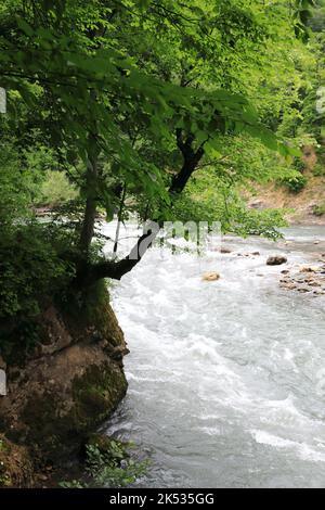 Vue sur la rivière Belaya, dans la gorge en granit, à Adygea Banque D'Images