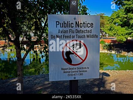 Étang de parc avec la sauvagine clôturée à Union City, en Californie et grippe aviaire détectée ne pas nourrir ou toucher le panneau d'avis public de la faune, signaler les oiseaux morts ou malades aux Services de contrôle des animaux Banque D'Images