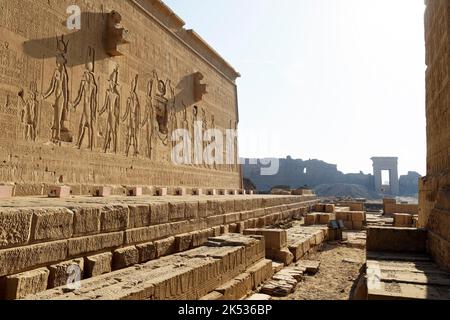 Égypte, haute Égypte, vallée du Nil, temple de Dendara mort à la déesse Hathor Banque D'Images