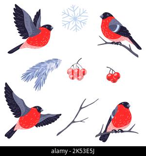 Ensemble d'hiver d'oiseaux de taureaux et de plantes. Carte de joyeux Noël et de bonne année. Illustration de Vecteur