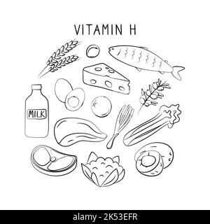 Vitamine H Biotine. Groupes de produits sains contenant des vitamines. Ensemble de fruits, légumes, viandes, poissons et produits laitiers. Illustration de Vecteur