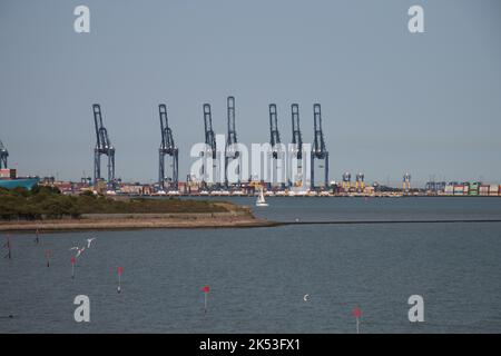 Grandes grues autour des docks à Harwich avec des plages et des touristes en premier plan. Été 2022 Banque D'Images