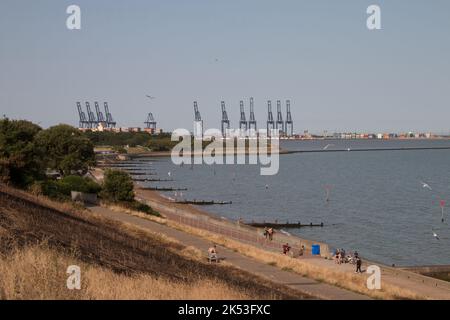 Grandes grues autour des docks à Harwich avec des plages et des touristes en premier plan. Été 2022 Banque D'Images