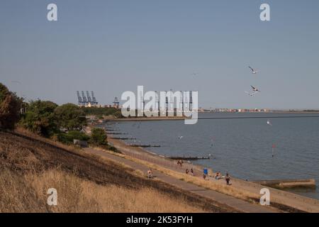 Grandes grues autour des docks à Harwich avec des plages et des touristes en premier plan. Été 2022 Banque D'Images