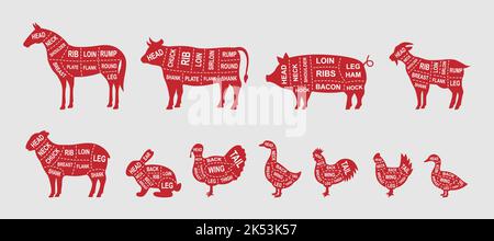 Jeu de coupes de diagramme animaux de ferme. Affiche de la structure du boucher. Cochon, cheval, dinde, chèvre, mouton, Poulet, coq, canard, lapin, oie, Viandes de vache. Illustration de Vecteur