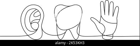 Ensemble d'organes humains tracé continu d'une ligne. Illustration d'une seule ligne en continu de dent, d'oreille, de main. Illustration linéaire minimaliste vectorielle. Illustration de Vecteur