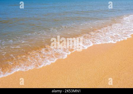 La côte de la mer d'Azov. Les vagues de la mer roulent sur le rivage sablonneux. Plage de sable de Seashell. Banque D'Images