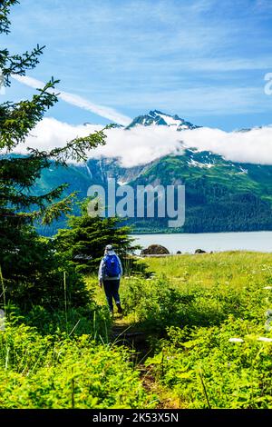 Femme randonnée à Moose Meadow ; Chilkat Inlet et parc national et réserve de Glacier Bay ; Chilkat State Park ; Haines ; Alaska ; États-Unis Banque D'Images