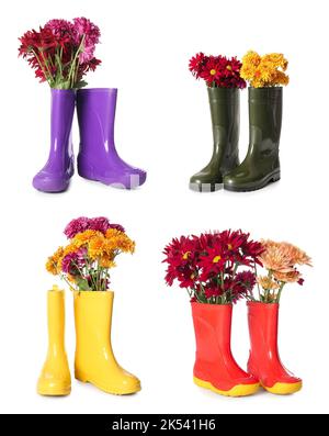 Collage de fleurs de chrysanthème fraîches avec bottes en caoutchouc sur fond blanc Banque D'Images