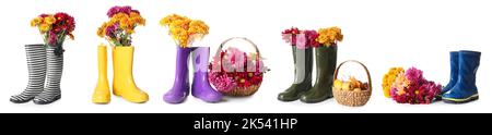 Collage de fleurs fraîches de chrysanthème avec bottes en caoutchouc et fruits sur fond blanc Banque D'Images
