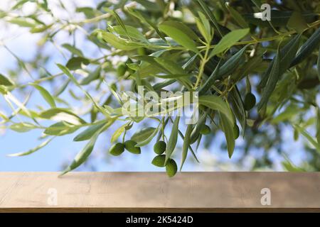 Table en bois vide et branches d'olivier dans le jardin Banque D'Images