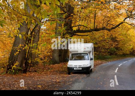 Campervan dans les bois d'automne de Crooksbury sur la route entre Elstead & Seale, près de Farnham & Godalming, Surrey, Angleterre Banque D'Images